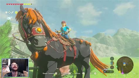 zelda botw pferde|Canon Horse Names in [BotW] : r/truezelda